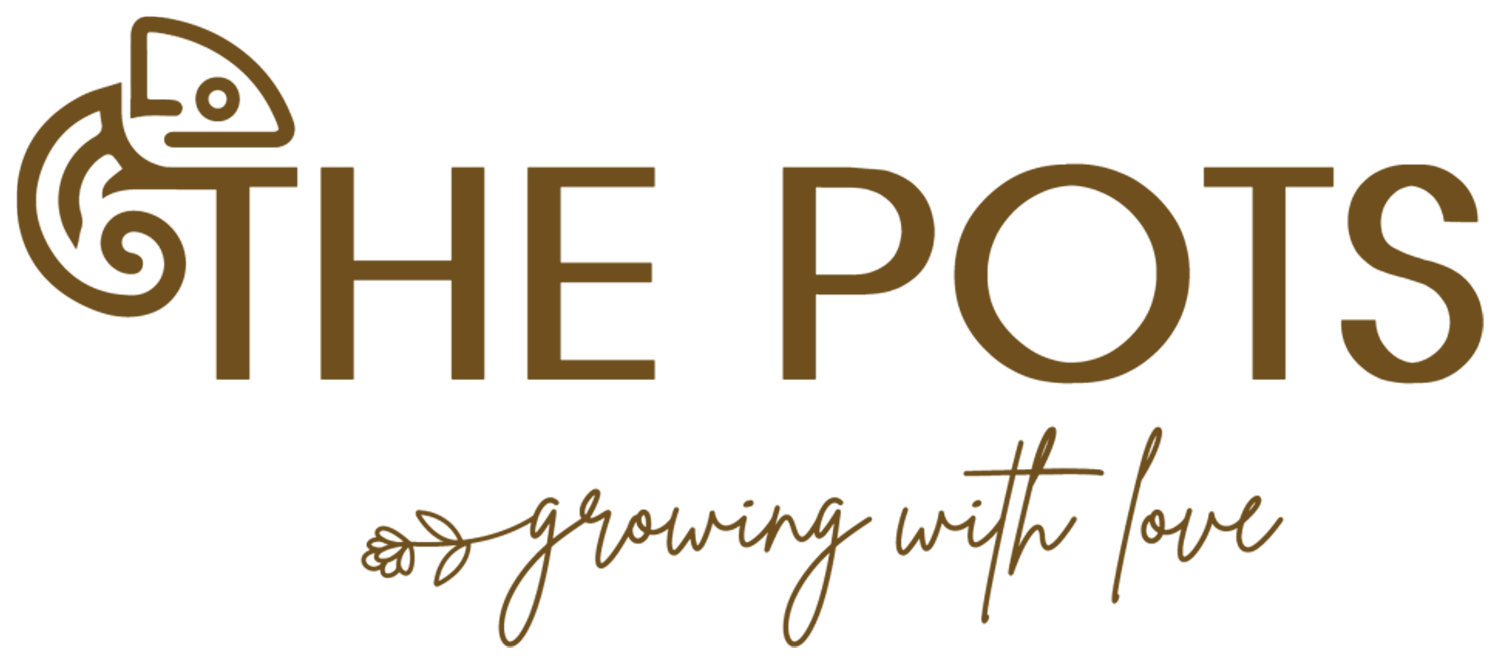 The Pots — growing with love